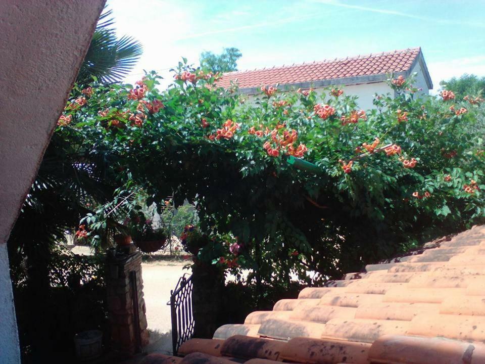 Nena Apartment Cepljani